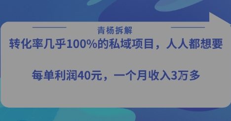 转化率最高的私域项目,每单利润40-50米,月入过1w