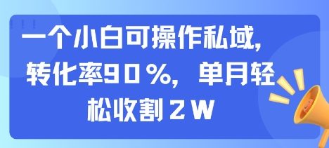 一个小白可操作私域，转化率90%，单月轻松收割2W