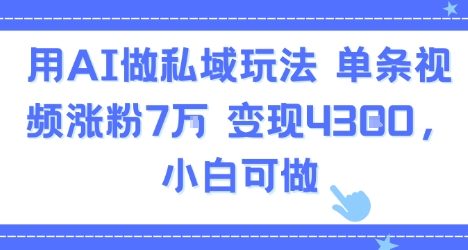 用AI做私域玩法，单条视频涨粉7W变现4.3k，小白可做