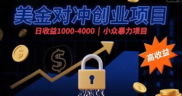 美金对冲创业项目，日收益1000-4000，小众暴力项目