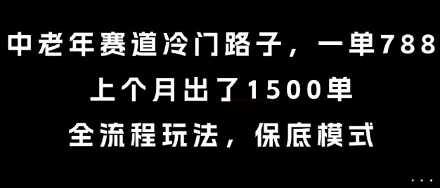 中老年赛道冷门路子，一单788，上个月出了1500单，全流程玩法，保底模式【揭秘】