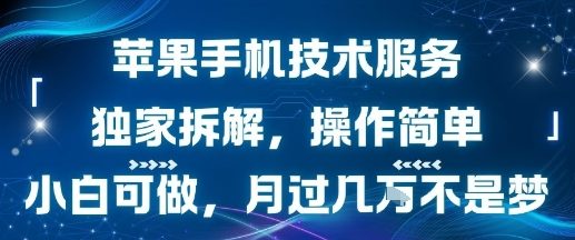 苹果手机技术服务，独家拆解，操作简单，小白可做，月过1W不是梦