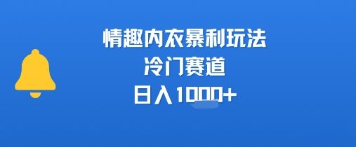 情趣内衣暴利玩法，冷门赛道，日入1k+