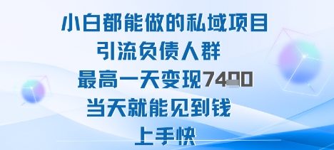 2025年小白都能做的私域项目引流负债人群最高一天变现1k+高变现难度低当天就能见到钱上手快