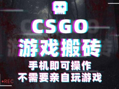 CSGO游戏捡漏，单日扫货500+，年底小高峰上车可吃肉，手机即可操作