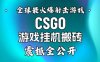 【年底大揭秘】基于全球最火爆的射击CSGO游戏挂G搬砖，日入5张+，震撼公开