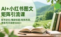 AI+小红书图文矩阵引流课：账号定位/爆款标题/矩阵布局/单账号月涨粉5000+