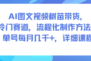 AI图文视频树苗带货，冷门赛道，流程化制作方法，单号每月几K，详细课程