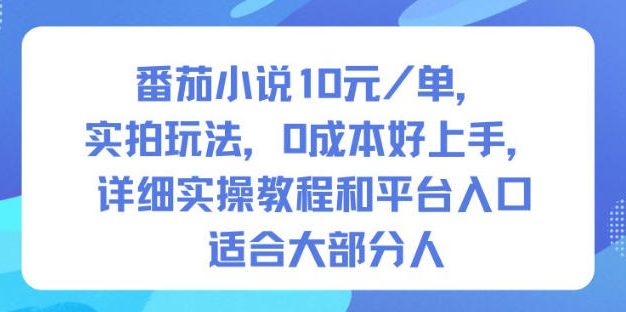 番茄小说10米每单，实拍玩法，0成本好上手，详细实操教程和平台入口适合大部分人
