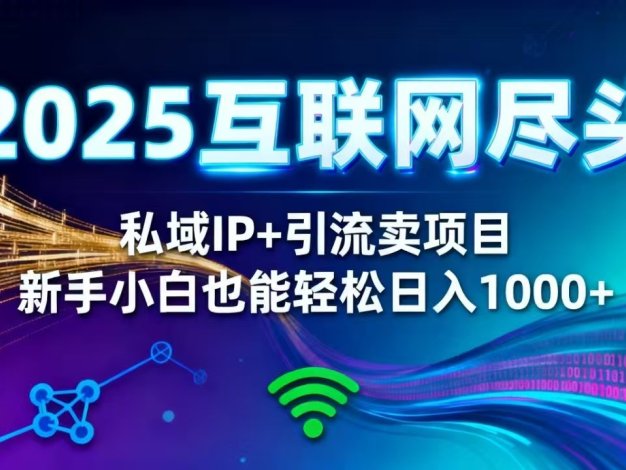 2025网创尽头王炸项目！私域 IP + 精准引流，新手小白在家躺赚日入 1000+