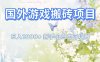 国外游戏全自动搬砖项目，日入10张，新手小白也可做，项目红利期，先搞先吃肉【揭秘】