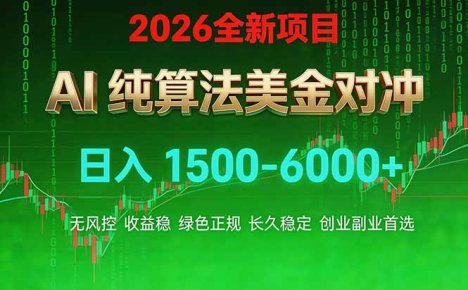 2026 全新美金对冲项目，不套平台赠金，不封号，纯算法，日入 1500-6000+