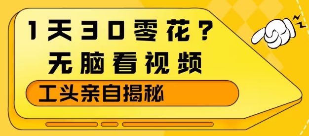 1天30零花？无脑看视频，大佬亲自揭秘