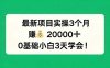 最新项目实操3个月，赚钱20000+，0基础小白3天学会！