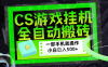 CSGO游戏捡漏搬砖，超稳定的项目，带领1000+小白实现日入500+，数据可视频验证